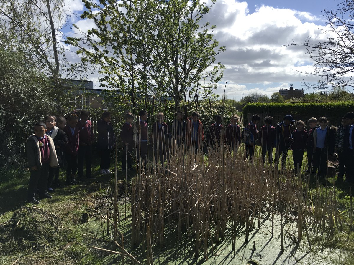 Stphilipevanspr's tweet photo. #SPEBl3 have been visiting the pond this afternoon to spot animals and insects that live in this habitat #SPEOutdoorLearning https://t.co/lPHPSw7foq