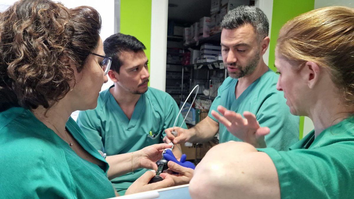 Segundo día de curso con clases teórica y sobretodo prácticas con pacientes y simuladores 🥰🥰
<a href="/fujifilm_es/">Fujifilm España</a> <a href="/eus_endo/">EUS-ENDO</a> <a href="/SEEDendoscopia/">SEED</a> <a href="/EndoCollabcom/">EndoCollab™ | GI Endoscopy Community</a> <a href="/endoscopyjrnl/">Endoscopy Journal</a> 
#escueladeecoendoscopia 
#palencia