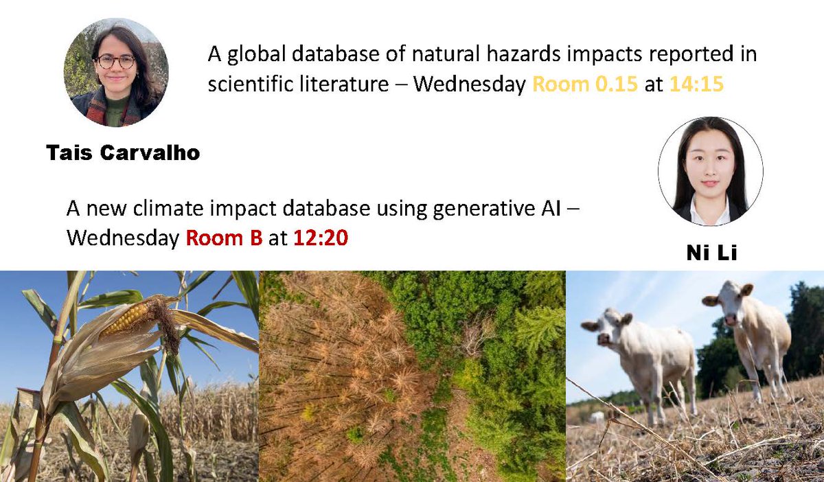Are you interested in multi-hazard impact databases that go beyond EM-DAT? Check out @taismncarvalho and Ni Li's talks at #EGU24 tomorrow. Both contributions have been highlighted by the conveners, given the innovative #NLP and #LLM tools used 🌟📃
