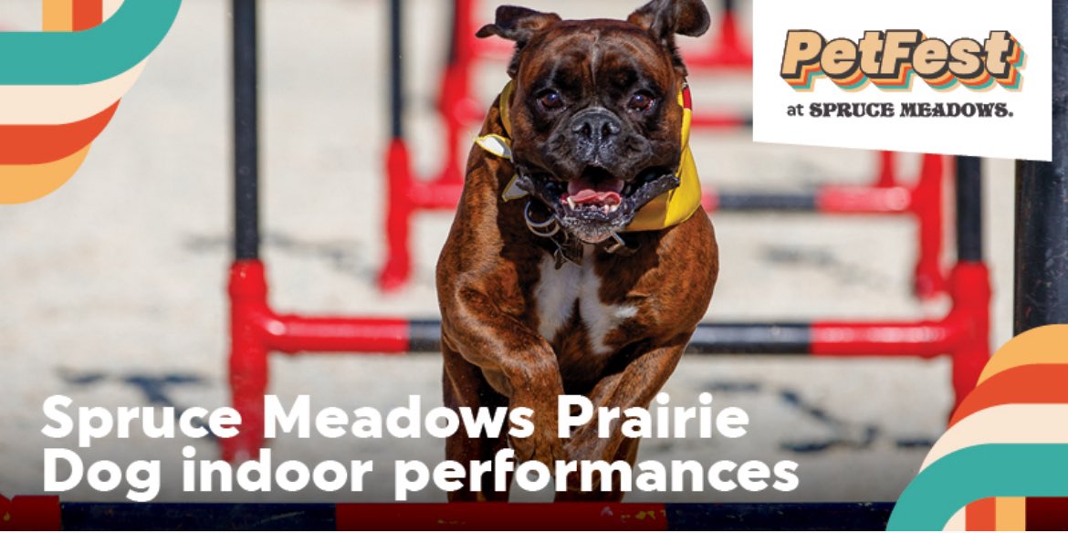 PetFest @Spruce_Meadows is days away from unleashing the excitement with their first ever one of a kind pet extravaganza! Listen to Connect with @SarahCrosbie from 3-6pm to win tickets!  PetFest Spruce Meadows April 19-21  For more info/tix go to sprucemeadows.com/petfest