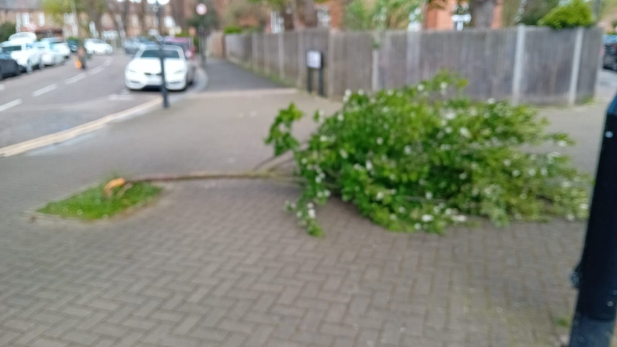 rlbarnard tweet media