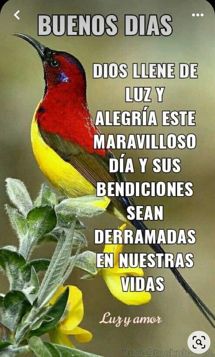 Dios les llene sus vidas de salud , felicidad y bendiciones🙏⚘️