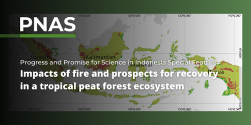 Check out our paper in @PNASNews feature on Indonesia. Using 16-years of data we show how fire threatens the ecological functioning and long-term restoration of peatlands. The forest site in Kalimantan is recovering, showing importance of fire management pnas.org/topic/562