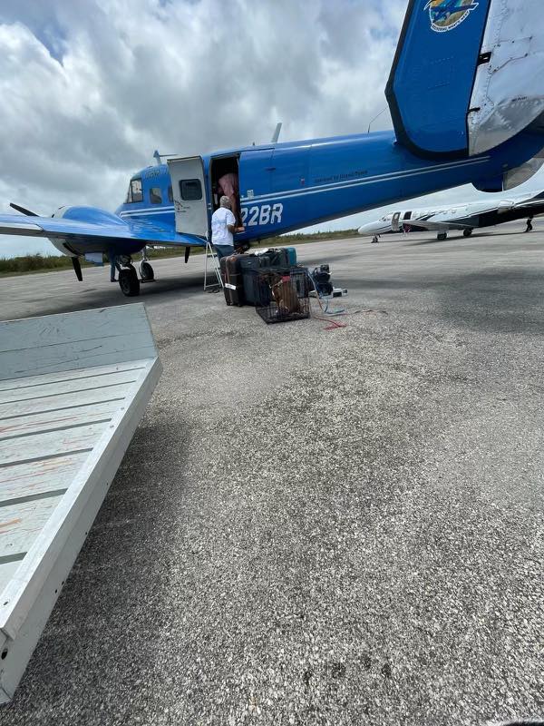 ABACO SHELTER UPDATE: Yes, a busy, busy week! We also transported two of our young juvenile residents, Spectra and Gracie, to their new home! Thank you, Victoria Albury!

✌️❤️🐕

#WeAreRoyals 👑
#AnimalWelfare
#DogRescue
#IslandDog