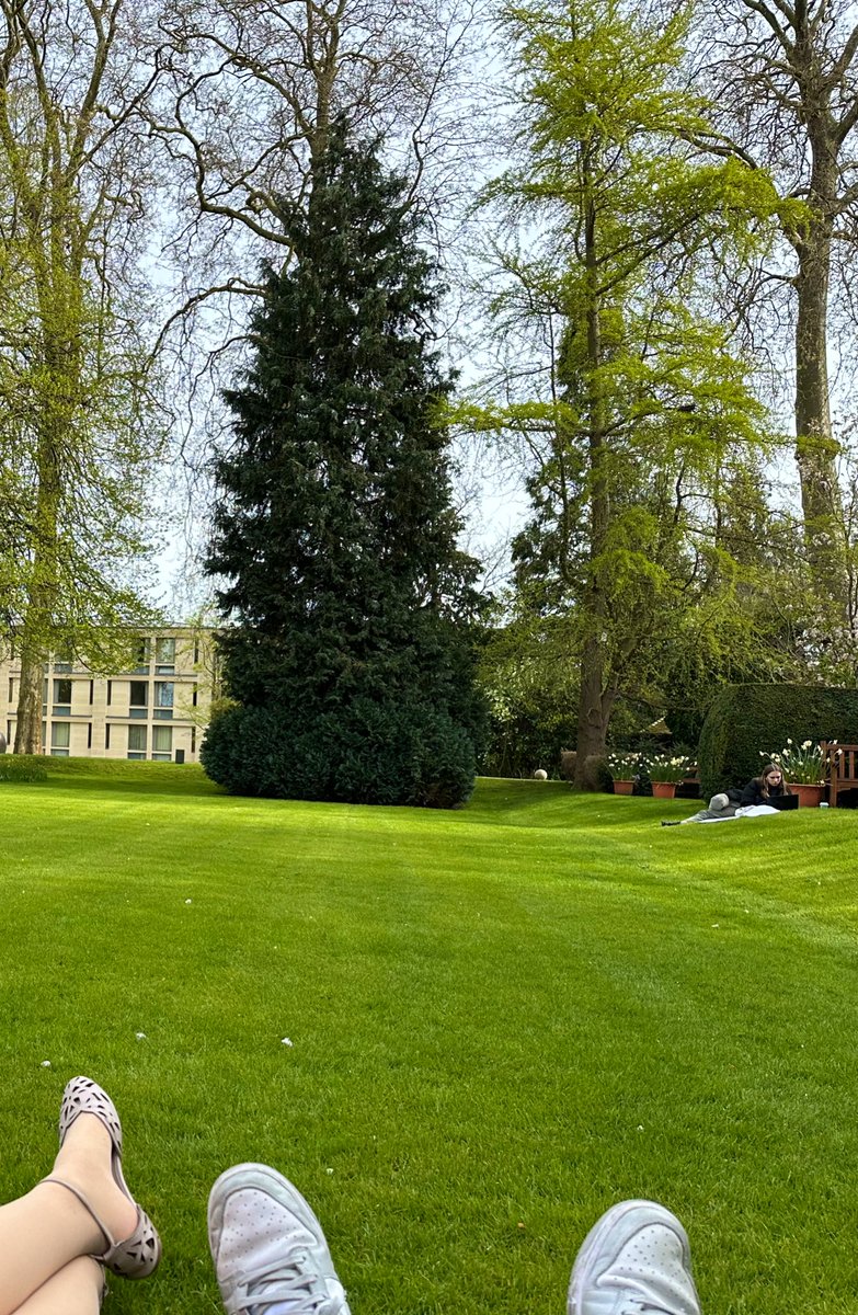 Busranurtutuk's tweet photo. It is all about circularity, lilacs, museum dates, gardens, and picnics. https://t.co/uBgYZWPWy7