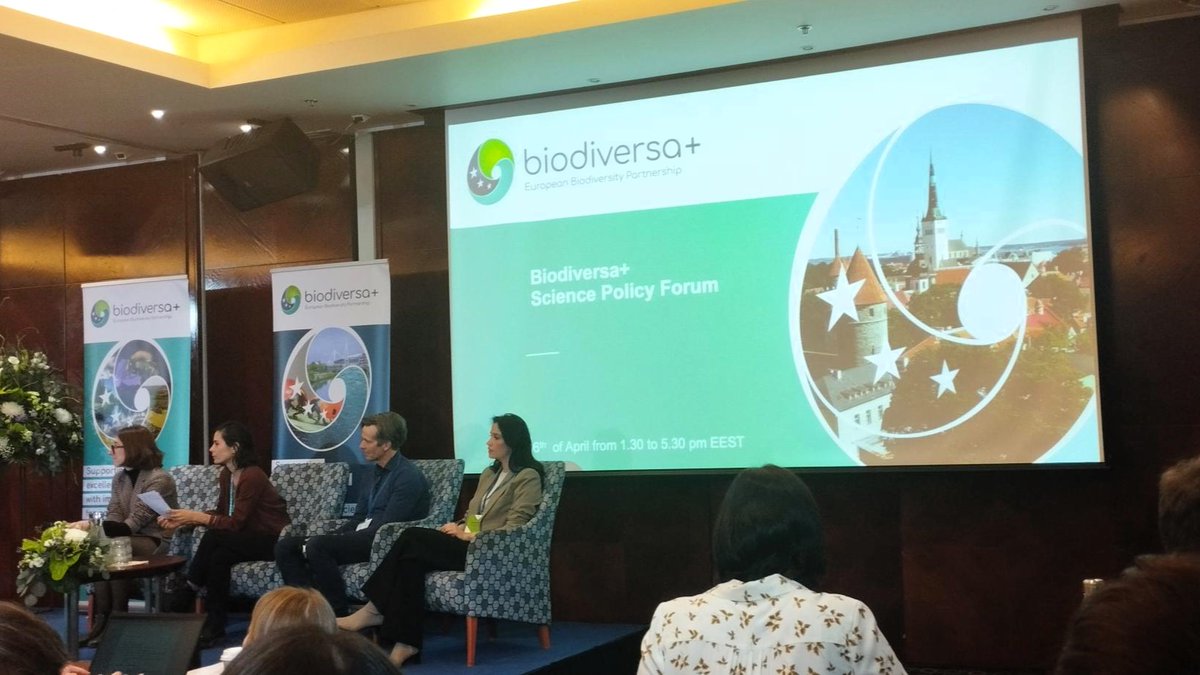 At the @BiodiversaPlus partnership Science-Policy Forum in Tallinn, Estonia🇪🇪

🌱Discussions are focused on how to strengthen and harmonise biodiversity monitoring across scales in support of the Global Biodiversity Framework.

#BiodivMonTallinn #EUbiodiversity