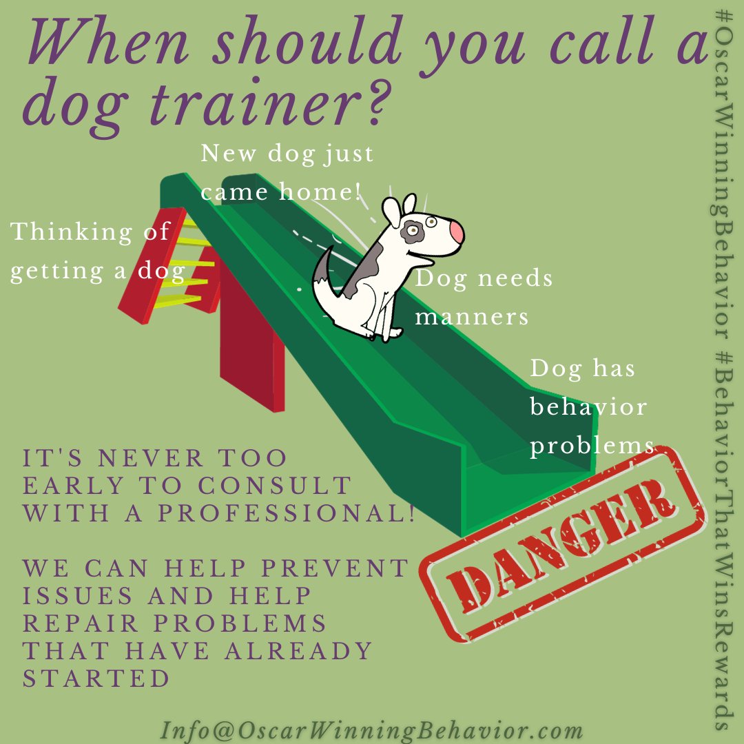 Got questions or concerns about your dog's behavior? Even if you're not ready to take classes, consulting with a trainer can help! 
#DogBehavior #CSAT #CDBC #ADT #iaabc #iaabcPets #FearFreePets #OscarWinner #OscarWinningBehavior #BehaviorThatWinsRewards