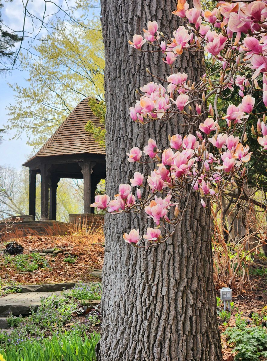 MeadowBrookHall tweet picture