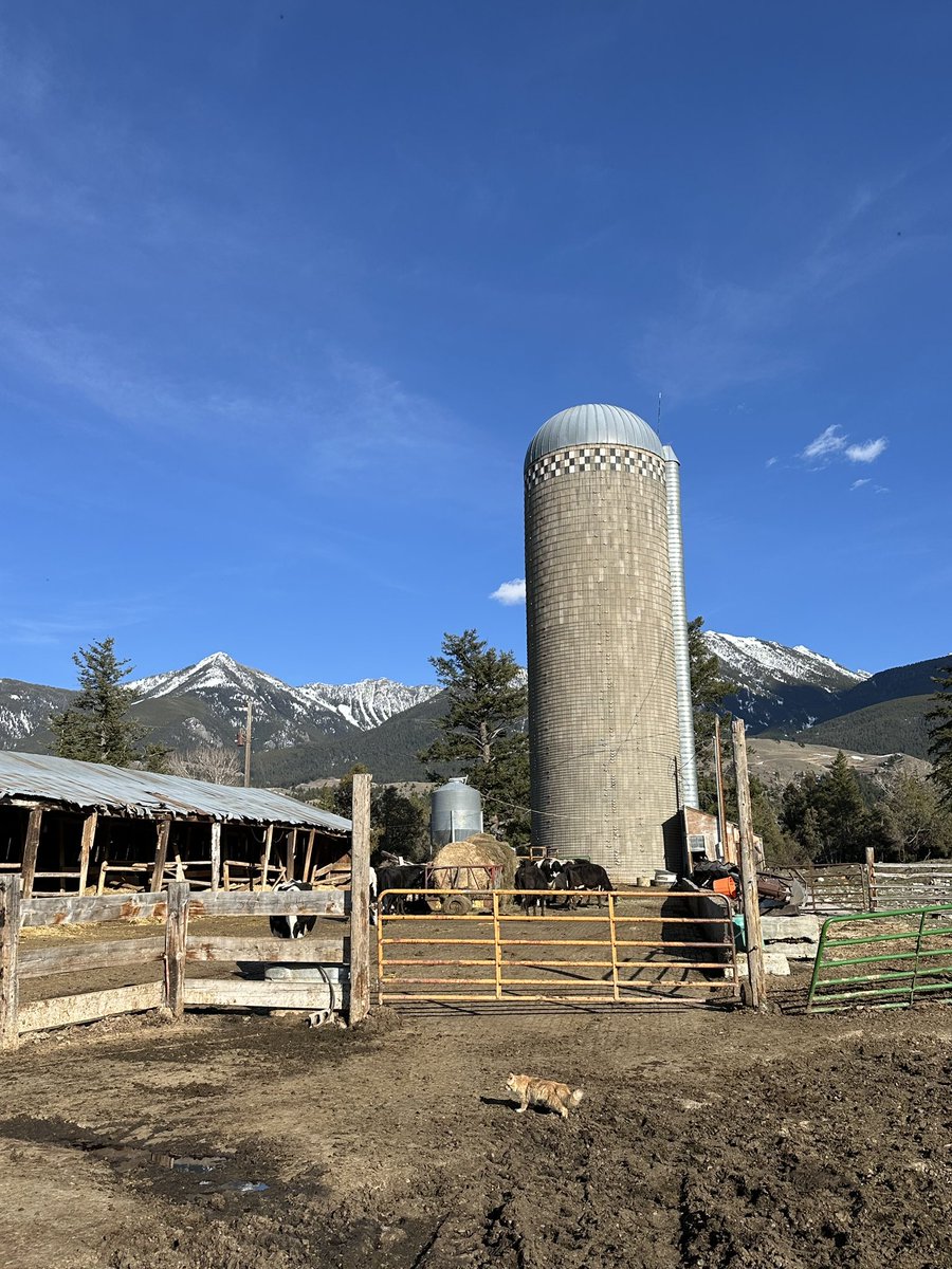 MTAgriculture's tweet photo. Today, the FADC Network launched their quarterly newsletter, where you can stay updated on the latest developments, insights, and resources in the dynamic world of food and agriculture.
See our story for more!
#MTAg #MontanaAg #MTAgriculture #FADCNetwork https://t.co/VMhOhVw2Tt