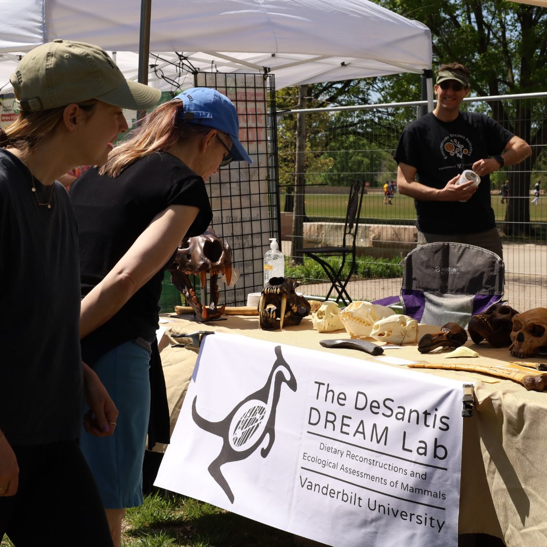 EvolutionVU tweet media