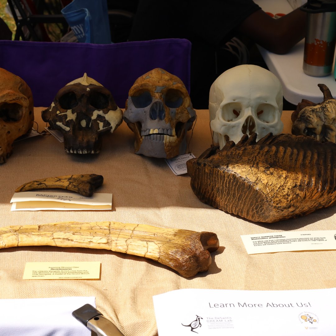 EvolutionVU tweet media