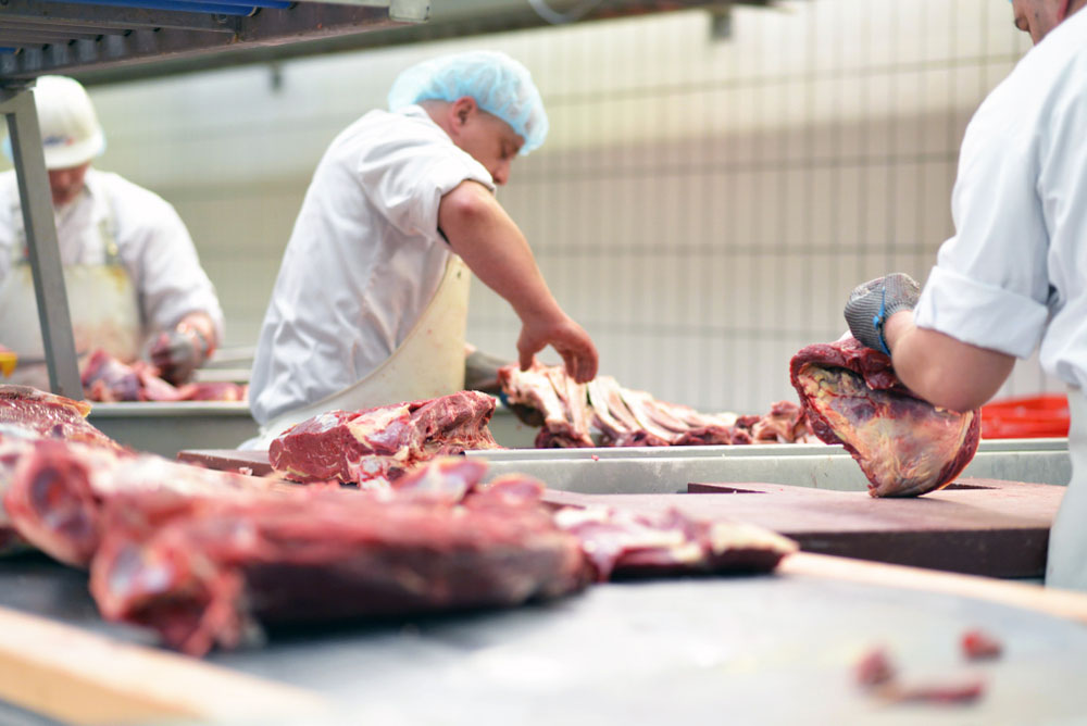 Reminder: Partner organizations interested in assisting small- to medium-sized meat and poultry processors with hiring, training, and retaining new employees can apply for the MDA’s new Meat Processing Train & Retain Grant. Apply by April 25 ➡️ mda.state.mn.us/meat-processin… #MNAg