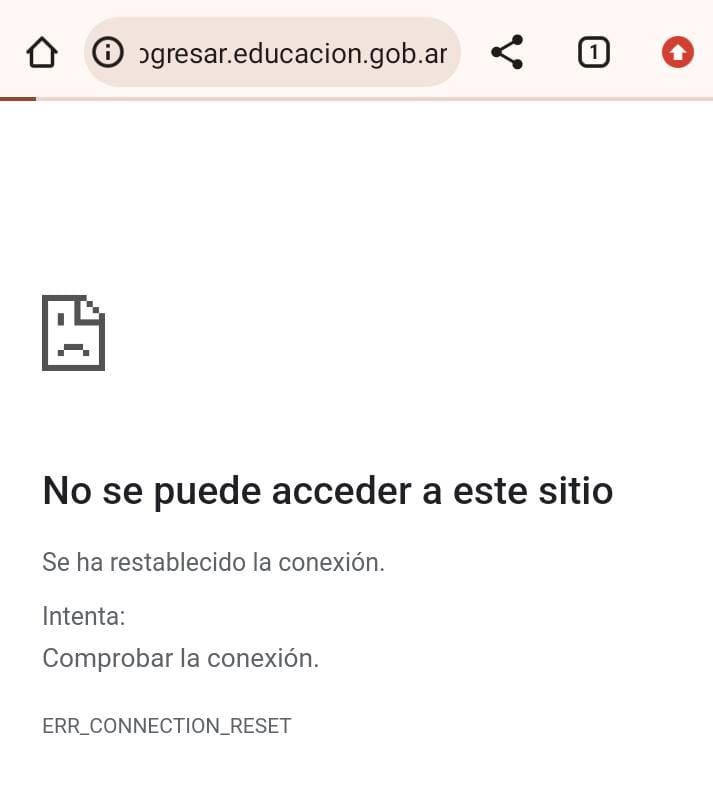 El gobierno no quiere anunciar el fin de las Becas Progresar para que no sea noticia, pero parece que no piensa entregar ninguna. Abrieron la inscripción sin avisar y tumbaron la página. Imposible anotarse. Y Anses está colapsado por los despidos masivos, no hay forma de reclamar