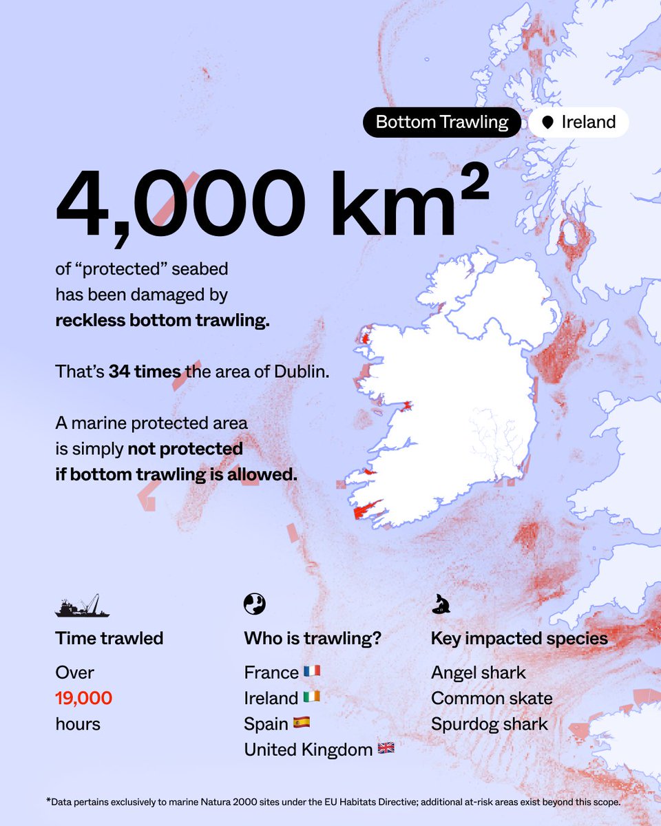 Bottom trawlers devastate 'protected' Irish waters. Nets as big as football fields scrape the seabed and kill marine life indiscriminately. Ask @McConalogue to take action now and truly protect our marine ecosystems. #BanBottomTrawling only.one/bottom-trawling