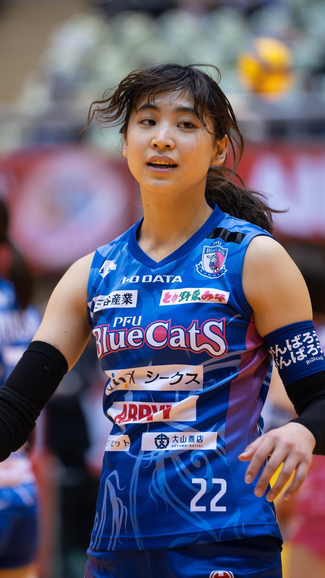 PFUブルーキャッツ　川添美優　オールスター　オーセンティックユニフォーム　XO PFUブルーキャッツ 川添美優 オールスター オーセンティック
