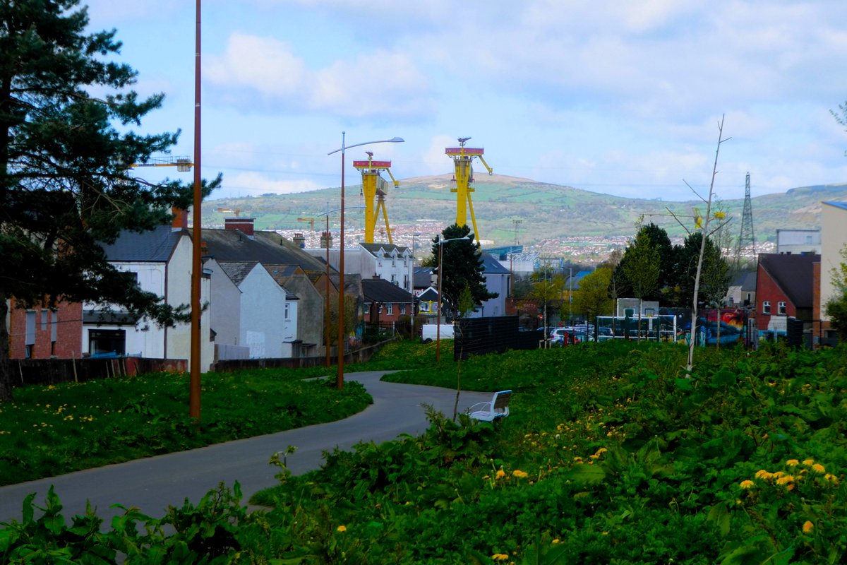 For a change, we deserted #countydown and had a look at the Comber Greenway, walking from Abbey Road to Beersbridge Road and back. Very much a change of usual scene, but interesting and different. Much busier than my usual walk, but don't often get a view of Samson and Goliath.