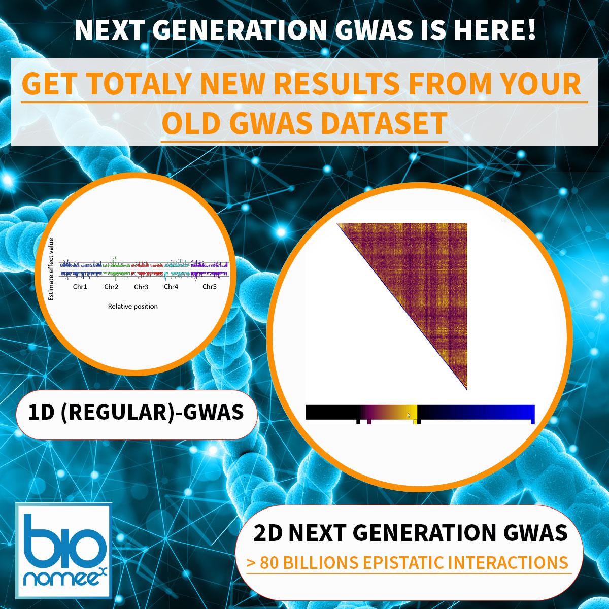 BionomeeX tweet media