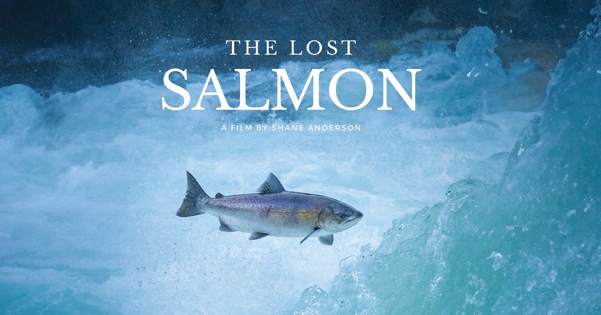 Friday Harbor Film Festival tweet media