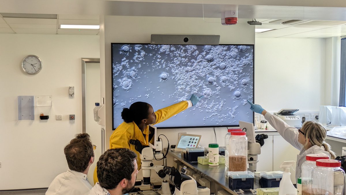 We're running our Cryopreservation course this week and have now passed the milestone of having 200 attendees join us on this course!

We'll be running it again in October and there's still a couple of places left, so book your spot now:

har.mrc.ac.uk/training/cours…