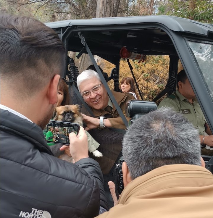 charliehabla_'s tweet photo. "Nacho", el perrito #MataChinches más querido por Carabineros.
@Carabdechile

Hoy cumple 4 años 🎂

#Pekines
#PerriHijo https://t.co/LLPVXehvvX