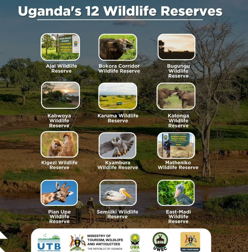 Jayad_Tours's tweet photo. How best do you know your country..
@jayadtours@janaatjaria
#experiencetheworld
@PatraAgasa 
@Sammy_Travels 
@Kiggundu_Asad 
@utb
#0740555525 https://t.co/1MBd7gpQ9M