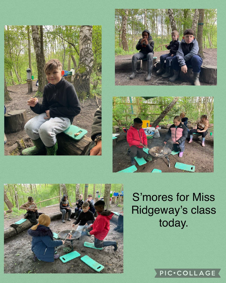 S’mores for the year 5s in their last Forest School session their year.