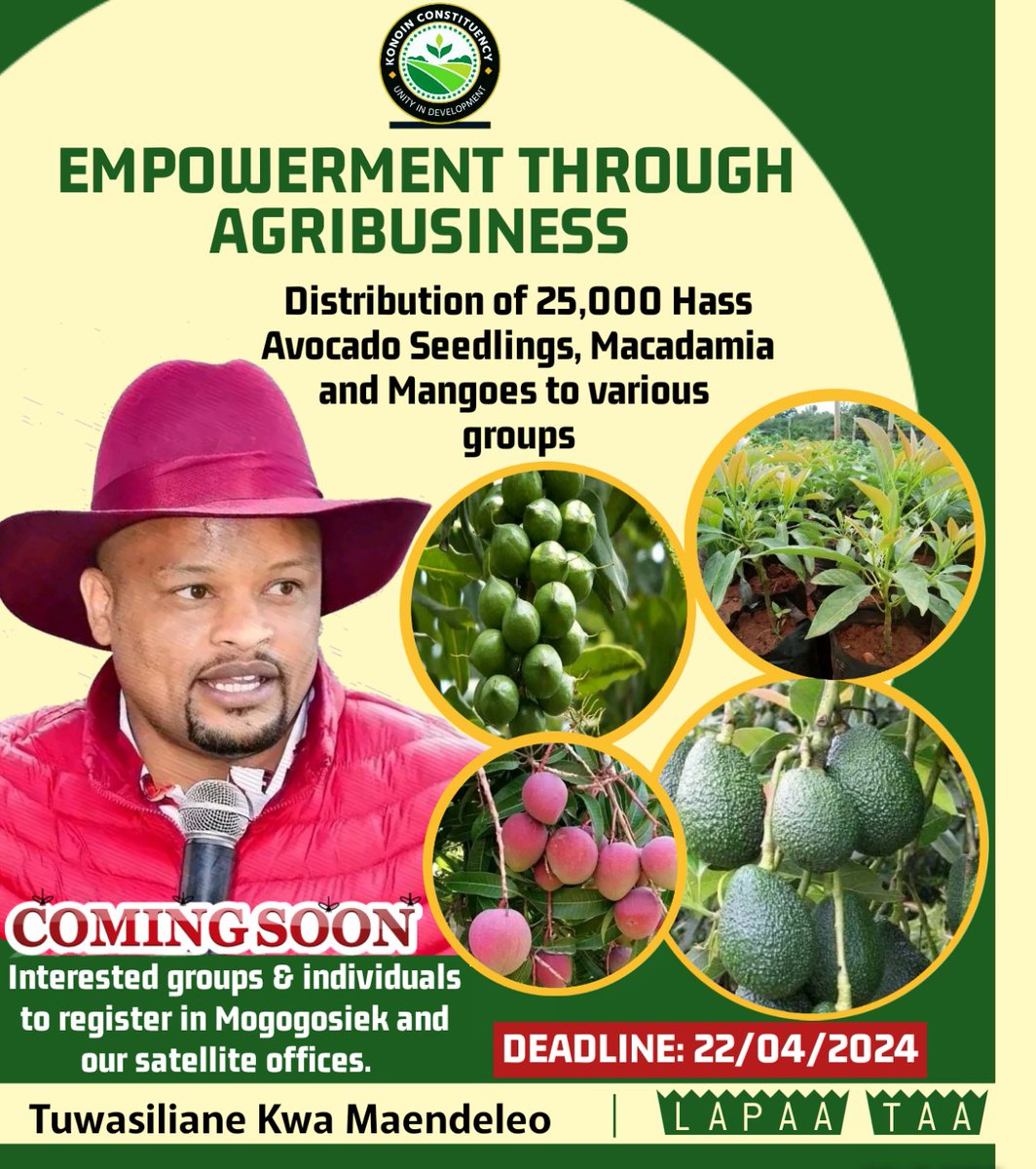 EMPOWERMENT THROUGH AGRIBUSINESS.
I call upon the residents of Konoin who are interested with Hass Avocado seedlings, Macadamia or Mangoes to register himself/herself or group in any of our Constituency offices accross all the wards. 
#TuwasilianeKwaMaendeleo 
Lapaa Taa