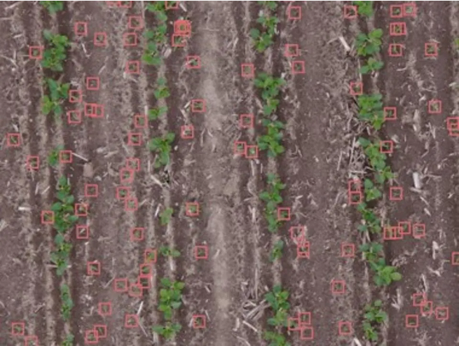 agropro_project's tweet photo. Farm With A View: How Drone Technology Is Taking Agriculture To A New Level

Forbes article (https://t.co/GEAolPuvmn) https://t.co/aUEAFAesw4