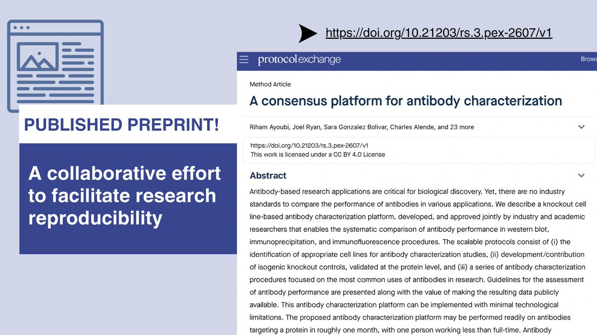 Joint efforts of industry and academic researchers results in the development of a standardized #antibodycharacterization protocol, now available for all to use!  ⏩doi.org/10.21203/rs.3.…