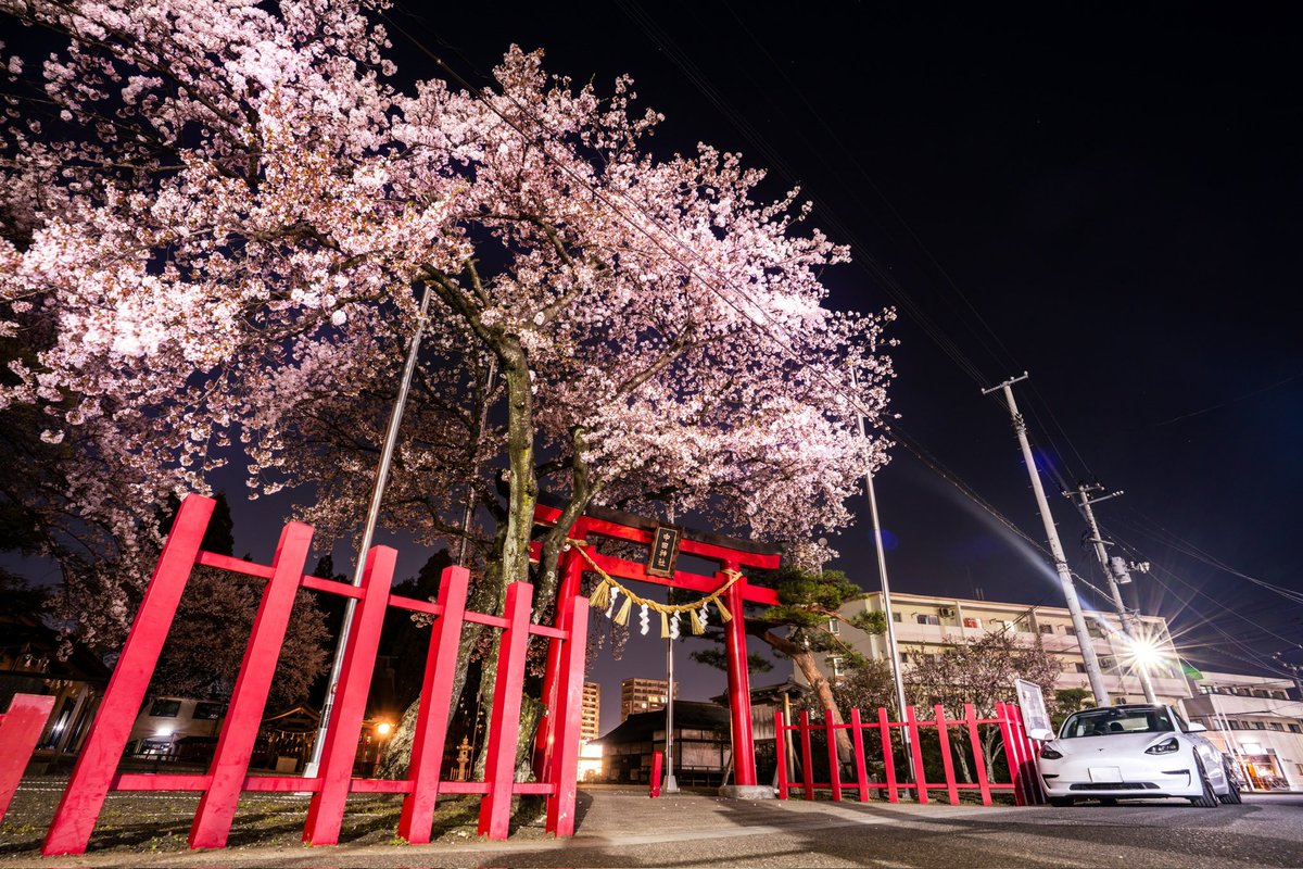 ⛩️🌸🚗

#Model3
#cherryblossom 
#Tesla