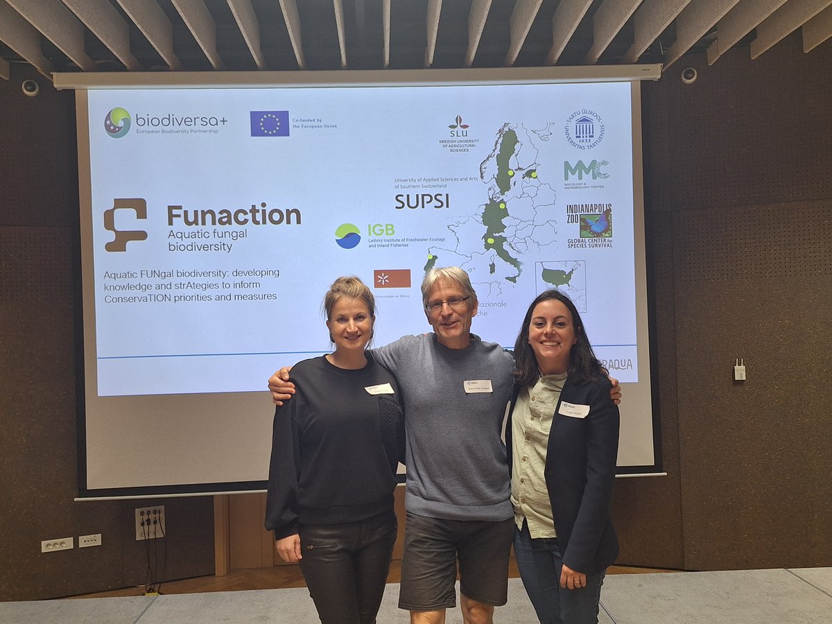 FUNACTION tweet media