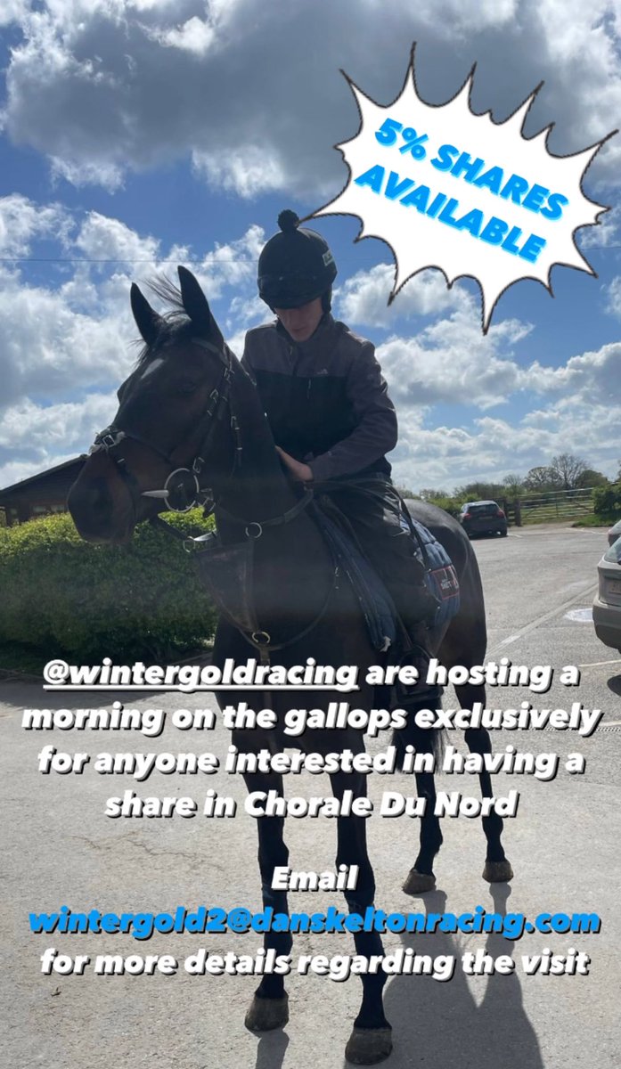 5% Shares Available in a Chorale Du Nord. We are hosting a morning on the gallops for anyone interested in being a part of Winter Gold Racing 4 syndicate. Email: wintergold2@danskeltonracing.com for more details.