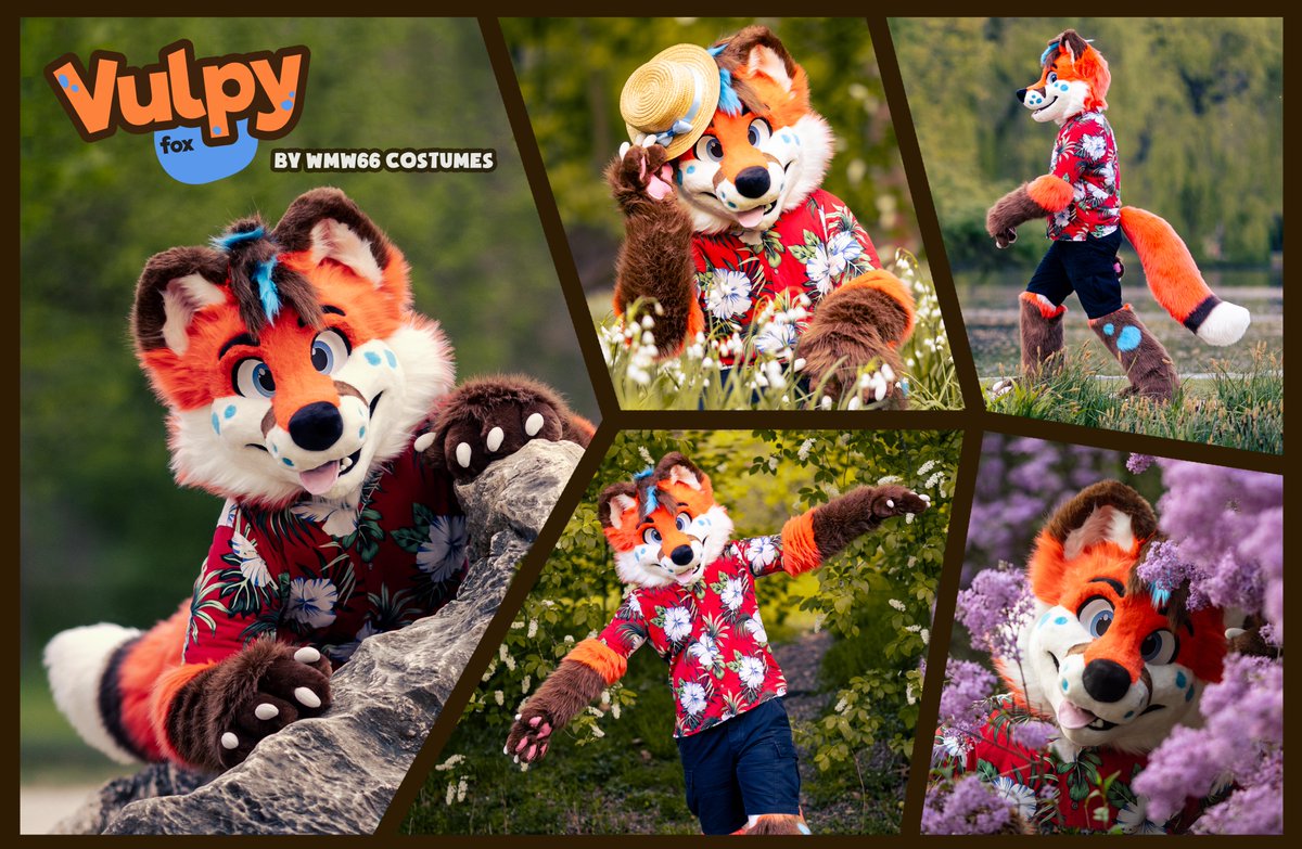 Say hi to @VulpyBlue ! Hope you like this cute foxie! photos by @FurCPhoto