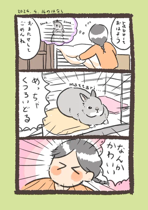 なんだろうなこの可愛さは

#うさぎのいる生活 