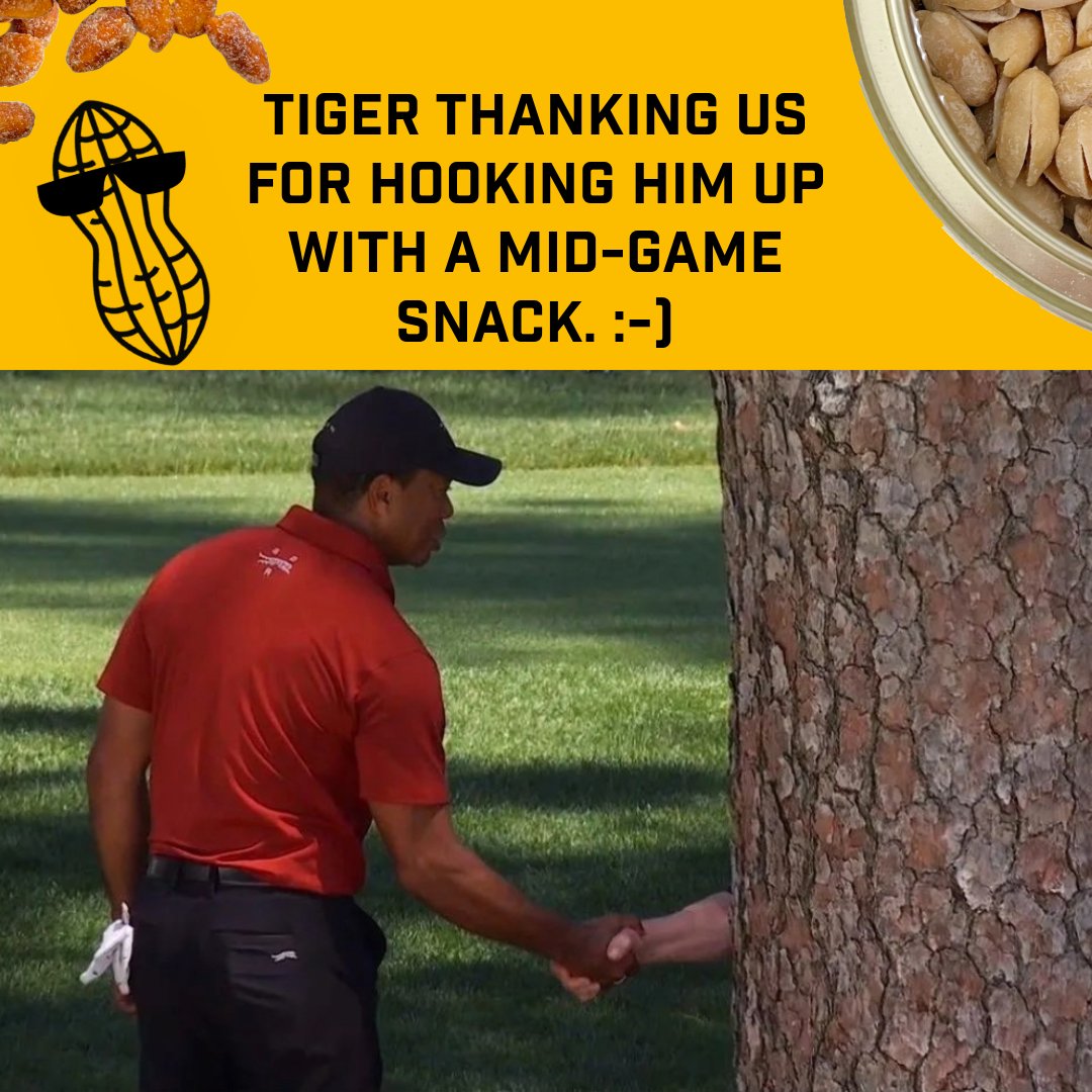 We're NOT saying we did this. But we did this. Or did we? 

Score this trophy: hancockpeanuts.com/product/birdie…  #tigerwoods #vernelundquist #hancockpeanuts #golf