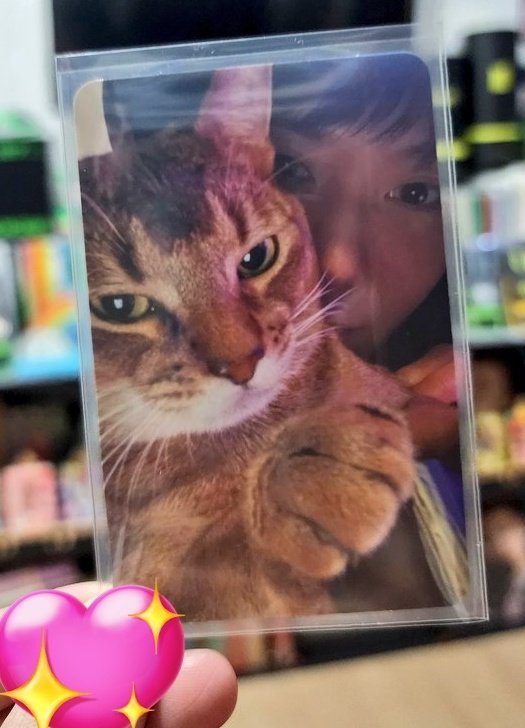 declutteringera's tweet photo. Thank so much for helping me bring Leon home 🥹 @erisshine_ https://t.co/ZqRMBaMdWk