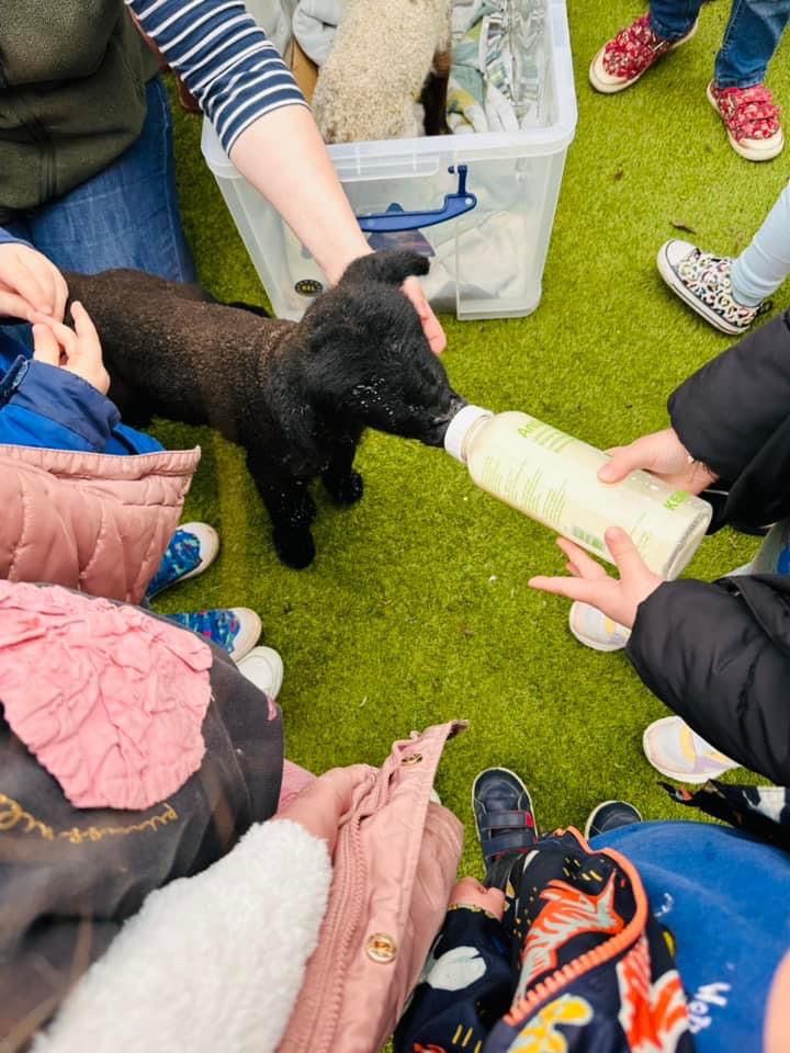 CortevaUK's tweet image. Corteva's Abi Morton took her adorable lambs to one of the local schools today. Great to be out volunteering and inspiring young minds about farming. 🐑 
#LifeAtCorteva #CortevaGrows