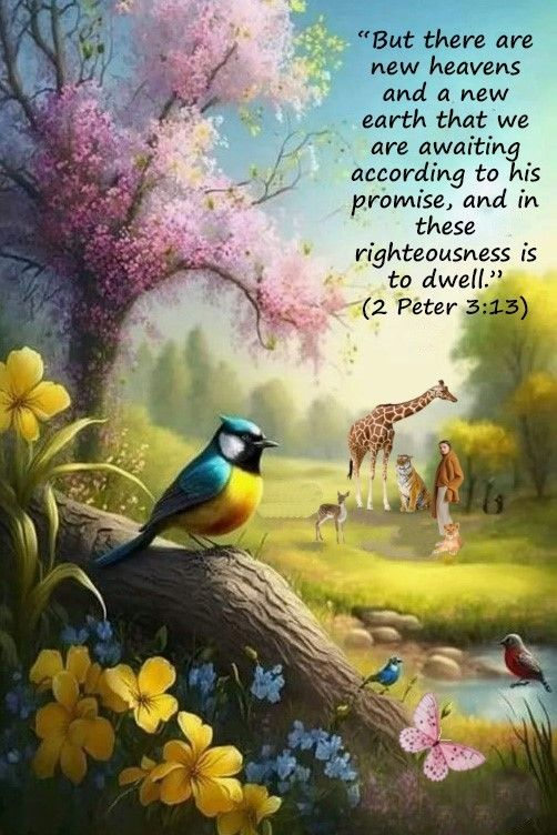 LDDeceptions's tweet image. #heaven #future #Peace #Promise #GoodNews #Bible