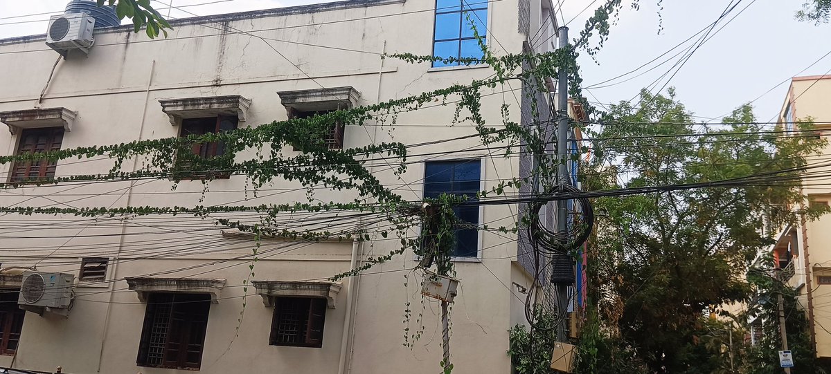 @TsspdclCorporat
requesting to send in officials or lineman to look into this for the clearance before this create's havoc. <a href="/GHMCOnline/">GHMC</a> <a href="/CommissionrGHMC/">Commissioner GHMC</a> area is Bank colony, near suchitra, road no: 3