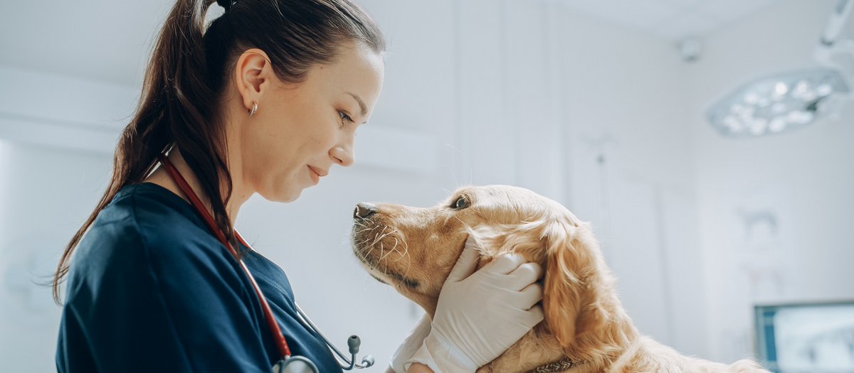 UK ICMIF member & specialist insurer @Ecclesiastical has welcomed @ShireBrokers back into its schemes book. Shire is a specialist finance/#insurance broker with over 40 years’ experience working with & supporting the veterinary sector. icmif.org/news_story/ecc…