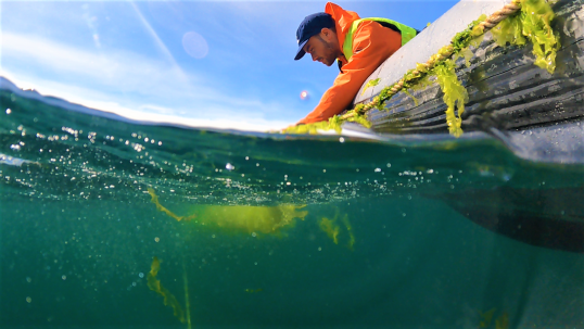 Spotlight on #algae innovation! 🚀 The latest Insider’s Perspective focuses on 🌱#seaweed as source of protein for the future with PhD candidate Kristoffer Stedt from @goteborgsuni 🌱uFraction8's bioprocesses using #microalgae. europa.eu/!fbMXrj