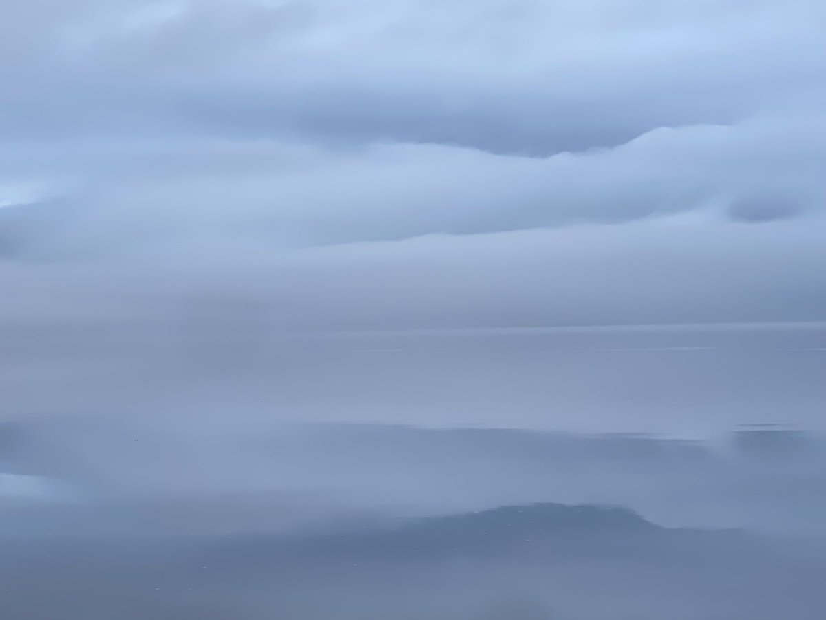 ShellLeDrew's tweet image. Humber river.
Early morning photograph.