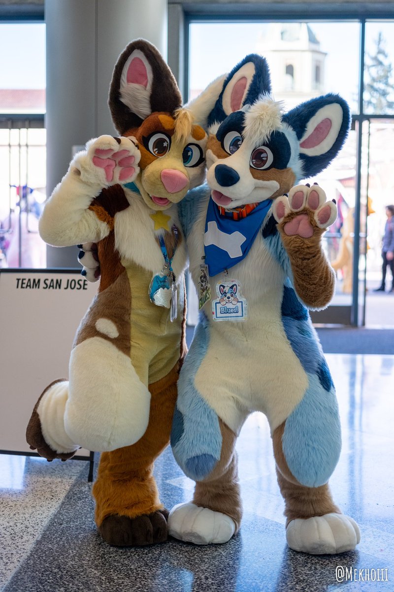 Two corgis to help you get through the week! 📸: @Mekhoiii 🐶: @TeaPupArt