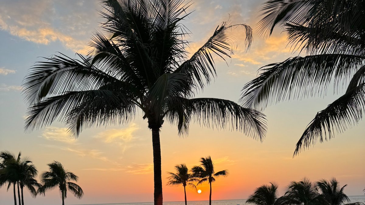 The best view to wake up to! 🧡 #margaritaville #hollywoodlfl #beachviews #visitflorida