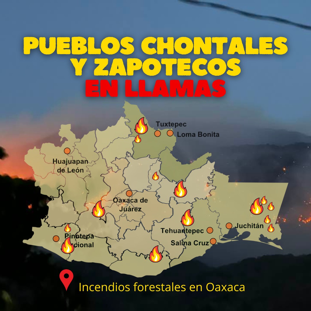 🔥🧯ARDE OAXACA El gobierno ya fue rebasado por los incendios que se registran en el Istmo de Tehuantepec y la región Chontal Mientras que la clase política está enfocada en las elecciones, las comunidades han tenido que organizarse para combatir incendios educaoaxaca.org/por-un-gobiern…