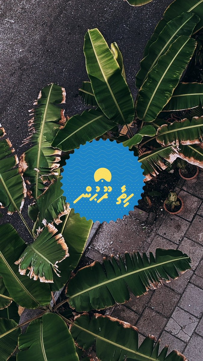 #hithaaroohun | mee ran reendhoo fahareh #hulhumaledhekunu | 
Ahmed Shamheed ✓ 1 ⚖️
🧭 #misraabuhamamagah