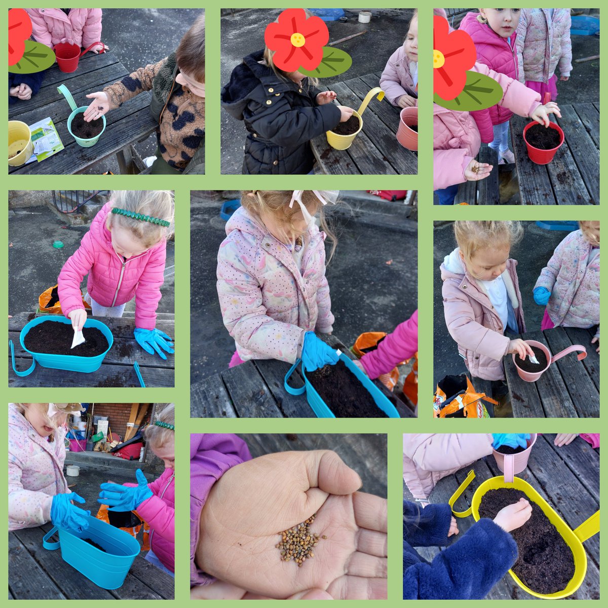 BanchoryBEEHive's tweet photo. We were gifted some seeds from a parent and today we planted them.  There was lots of chat about what a seed needs to grow.  Child A says but not too much rain! We also chatted about the size of the seeds and how many were in the packet. https://t.co/jFIfJMPQXR