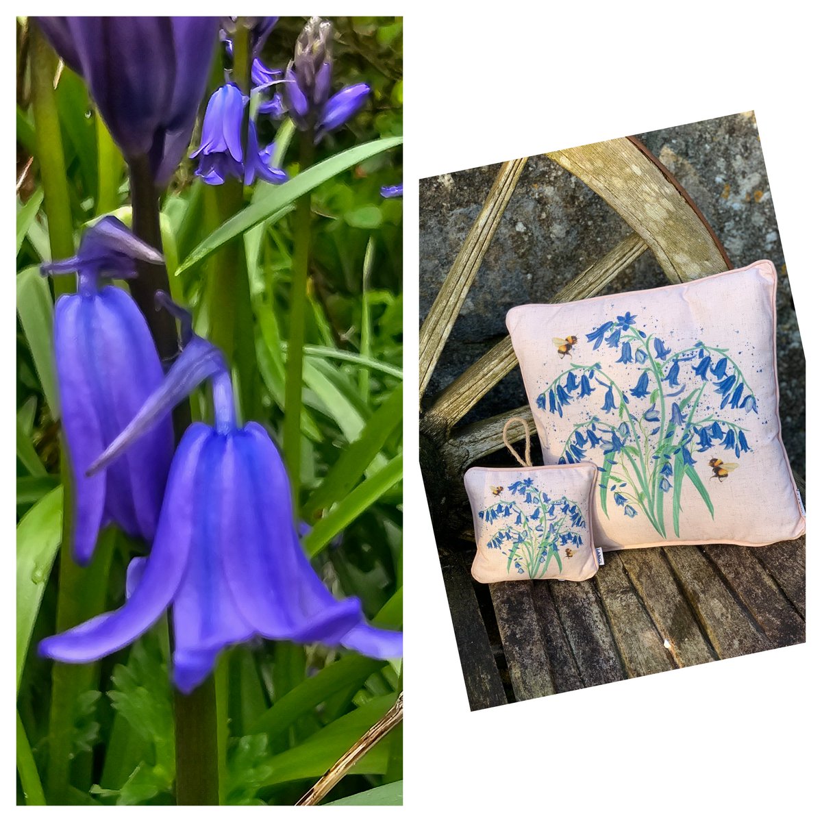 💙love bluebell season 💙lots of new spring houseware on tomorrow's @TruroFarmersMkt 💙