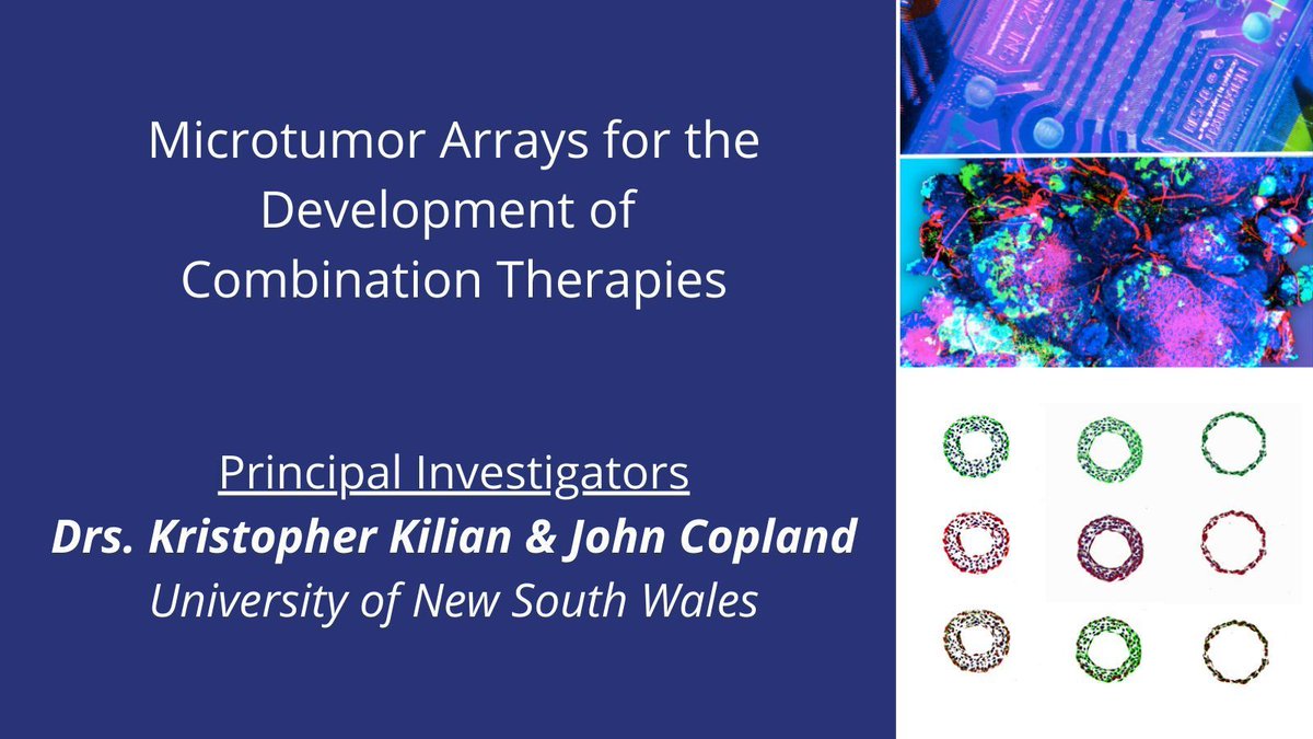 Dr. Kristopher Kilian (@KrisKilian) et al. @UNSW #CancerTEC are using #microtumorarrays to develop #CombinationTherapies for #melanoma. cancer.gov/about-nci/orga…