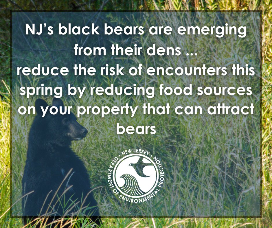 As black bears emerge from their dens, DEP reminds residents and outdoor enthusiasts to take steps to reduce the potential for encounters, including reducing food sources, such as unsecured trash, that can attract bears. In addition, the DEP this week secured a contract with a